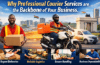 Why Professional Courier Services are the Backbone of Your Business